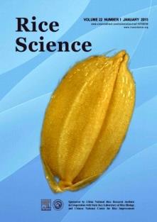 RiceScience