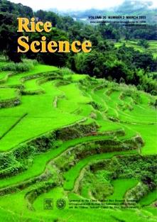 RiceScience