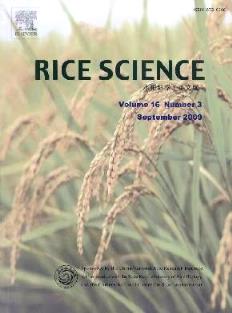 RiceScience