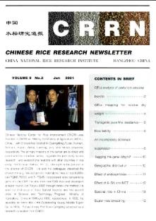 ChineseRiceResearchNewsletter