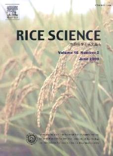 RiceScience