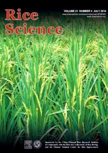 RiceScience