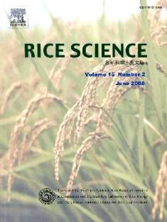 RiceScience