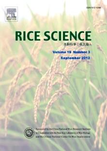 RiceScience